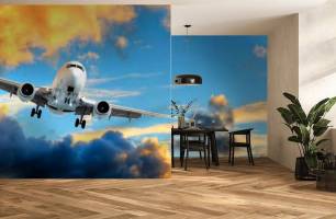 Wybierz Fototapeta Samolot  na niebie Korzeń tapety na ścianę