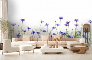 Wybierz Fototapeta włosy niebieskie  na ścianę