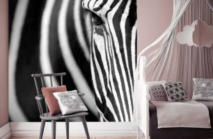 Wybierz Tapeta Zebra Malowidła ścienne Zebra na ścianę