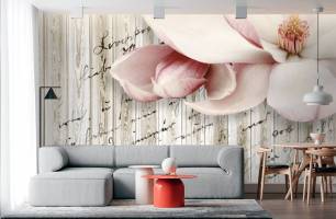 Wybierz Fototapeta Ściana z napisami kwiaty magnolii Tapeta w sypialni na ścianę