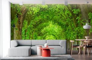 Wybierz Fototapeta Aleja drzew Mural ścienny na korytarzu na ścianę