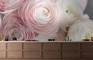 Wybierz Fototapeta różowy rununkulus  na ścianę