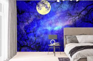 Wybierz Fototapeta księżyc na niebie w lesie Mural ścienny do sufitu na ścianę