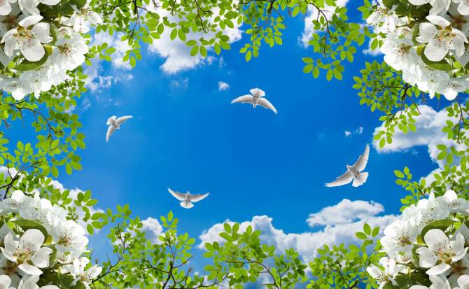Fototapeta gołębie na wiosennym niebie