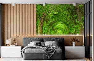 Wybierz Fototapeta Aleja drzew Mural ścienny na korytarzu na ścianę