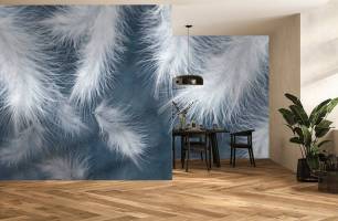 Wybierz Fototapeta Pióra niebieskie tło  na ścianę
