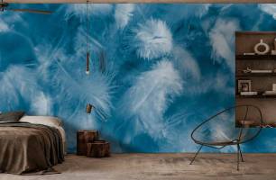 Wybierz Fototapeta Niebieskie pióra Pióra tapety na ścianę