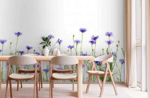 Wybierz Fototapeta włosy niebieskie  na ścianę