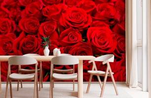 Wybierz Fototapeta bukiet czerwonych kwiatków Fototapeta Róża na ścianę
