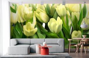 Wybierz Fototapeta do kuchni Tulipany  na ścianę