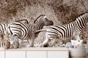 Wybierz Fototapeta zebry w gąszczu Malowidła ścienne Zebra na ścianę