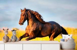 Wybierz Fototapeta biegnący mustang tAPETA KONI na ścianę