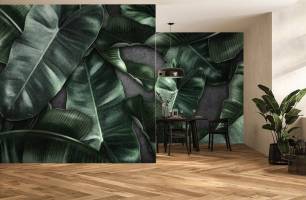 Wybierz Fototapeta Liścia tropikalne Oaza spokoju na ścianę