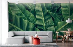Wybierz Fototapeta zielone liście bananowca Tapeta w łazience na ścianę