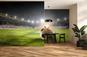 Wybierz Fototapeta piłka na boisku piłkarskim Sportowe tapety na ścianę