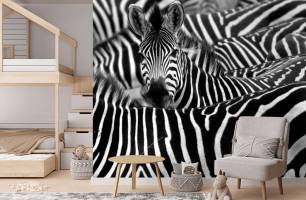 Wybierz Fototapeta dociekliwa zebra Malowidła ścienne Zebra na ścianę