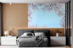 Wybierz Fototapeta korony drzew, kolor Mural ścienny do sufitu na ścianę