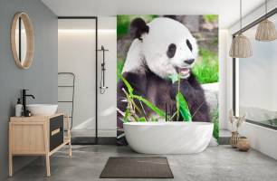 Wybierz Fototapeta Odpoczywająca panda  na ścianę