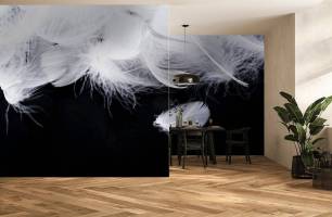 Wybierz Fototapeta białe pióra na czarnym tle Pióra tapety na ścianę
