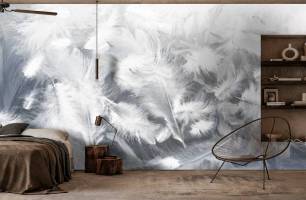 Wybierz Fototapeta Zwiewne białe pióra Pióra tapety na ścianę