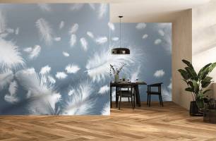 Wybierz Fototapeta białe pióra na niebieskim tle Pióra tapety na ścianę