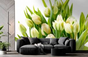 Wybierz Fototapeta tulipany Tulipany na ścianę