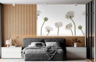 Wybierz Fototapeta Jaskier biały kwiaty Tapeta do kuchni na ścianę