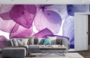 Wybierz Fototapeta 3d kwiaty Tapeta w salonie na ścianę