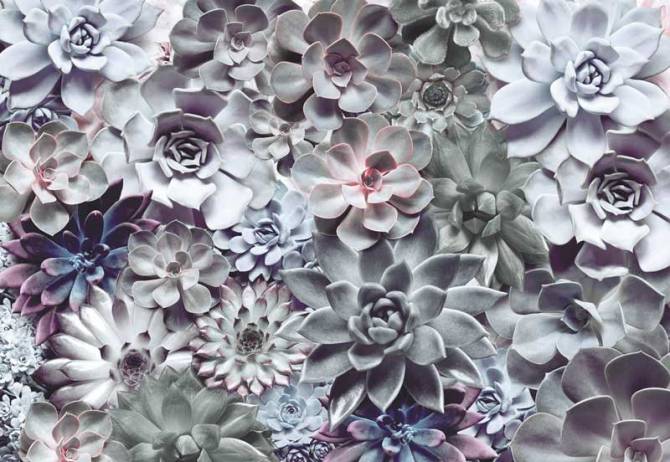 Fototapeta 3D kwiaty