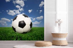 Wybierz Fototapeta piłka na trawie Sportowe tapety na ścianę