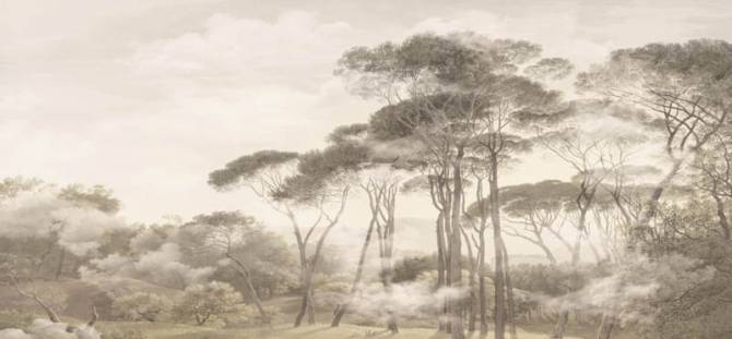 Fototapeta Drzewa mgła