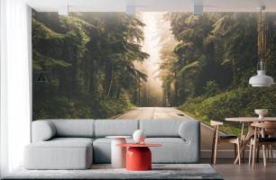 Wybierz Fototapeta Droga las roszczyrący Tapeta w salonie na ścianę