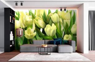 Wybierz Fototapeta do kuchni Tulipany Tapeta do kuchni na ścianę