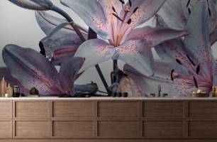 Wybierz Fototapeta fioletowe lilie  na ścianę
