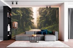 Wybierz Fototapeta Droga las roszczyrący Tapeta w salonie na ścianę