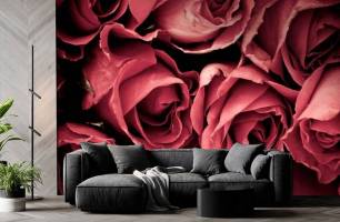 Wybierz Fototapeta czerwone róże Fototapeta Róża na ścianę