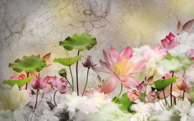 Fototapeta Kwiaty lotosu