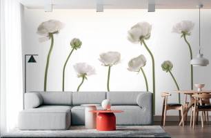 Wybierz Fototapeta Jaskier biały kwiaty  na ścianę