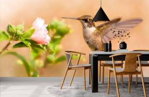 Wybierz Fototapeta lot kolibra Korzeń tapety na ścianę