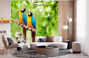 Wybierz Fototapeta papugi Korzeń tapety na ścianę