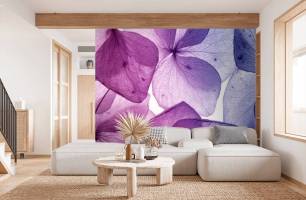 Wybierz Fototapeta Fioletowe kwiatki Korzeń tapety na ścianę