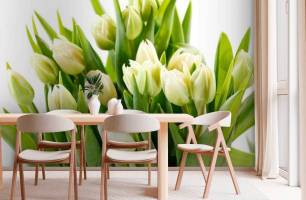 Wybierz Fototapeta tulipany Fototapety kwiaty na ścianę