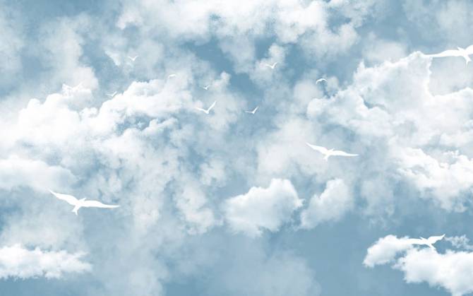 Fototapeta Ptaki w niebe
