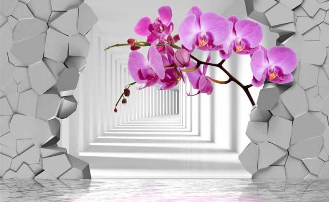 Fototapeta 3D orchidea