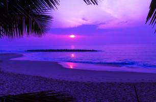 Wybierz Fototapeta Fioletowy zachód słońca nad morzem  na ścianę