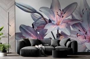 Wybierz Fototapeta fioletowe lilie  na ścianę