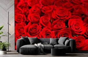 Wybierz Fototapeta bukiet czerwonych kwiatków Fototapeta Róża na ścianę