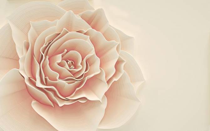 Fototapeta beżowa obszerna róża