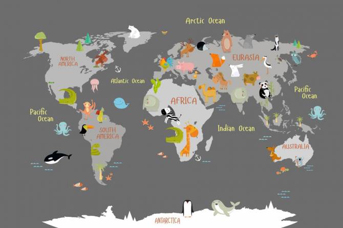 Fototapeta szara mapa w języku angielskim