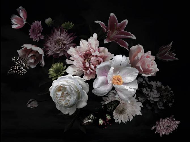 Fototapeta Kwiaty na czarnym tle